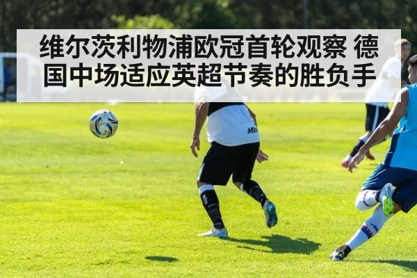 soccer tactics training